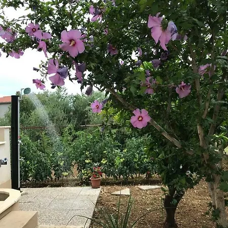 Mardi Apartment Kastela